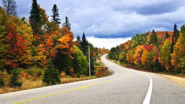 4. Think you're ready for fall driving
