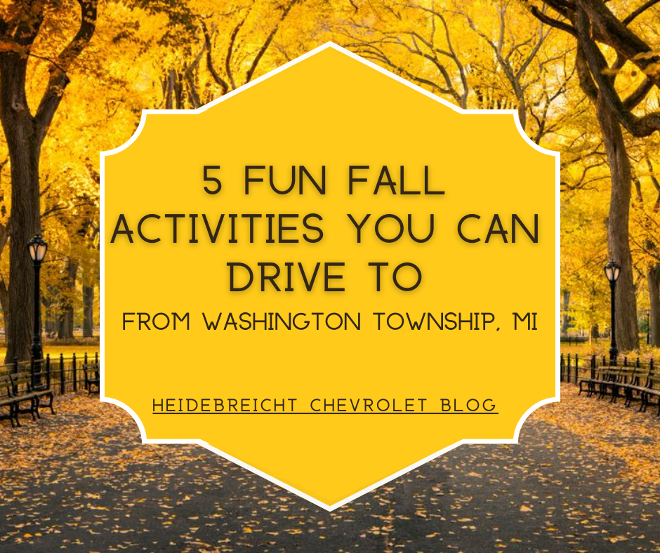 fall activities near Washington, MI