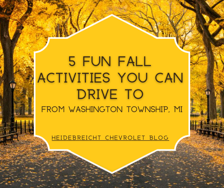 5 Fun Fall Activities You Can Drive To From Washington Township MI